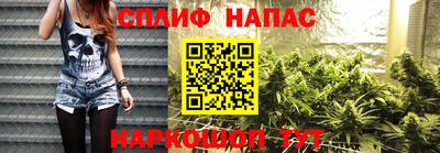 молекула духа Коммунар