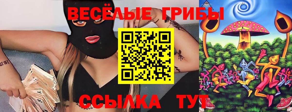 где можно купить   Галлюциногенные грибы ЛСД  Вход с VPN  Галлюциногенные грибы Cubensis  Азов 